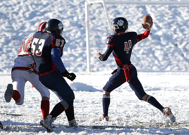 革的实效 革的实效