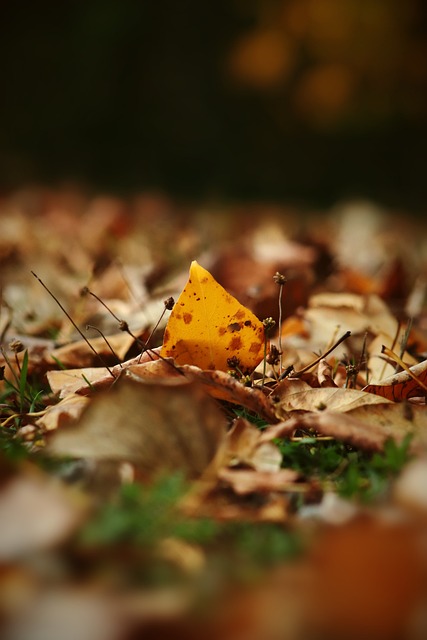 练强度最高 练强度最高
