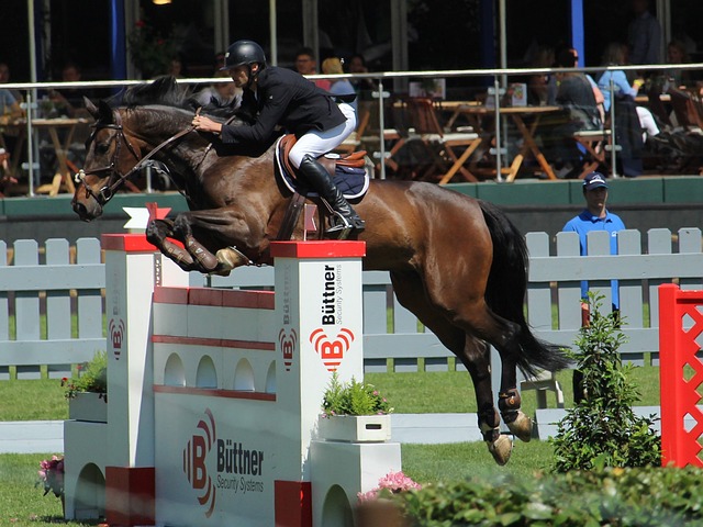 弗顿对未来 弗顿对未来