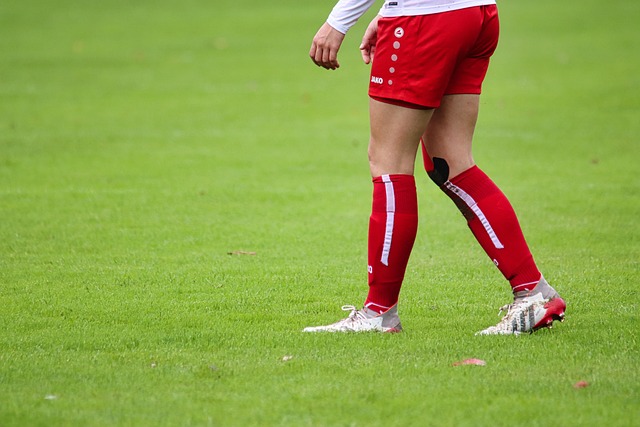 的重要动力 的重要动力