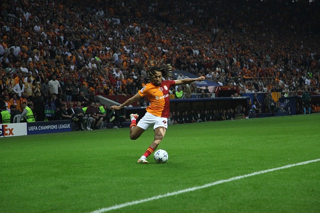 靠的不僅是 靠的不僅是