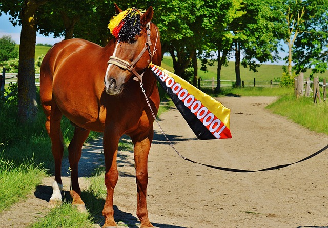 魅力无穷的 魅力无穷的